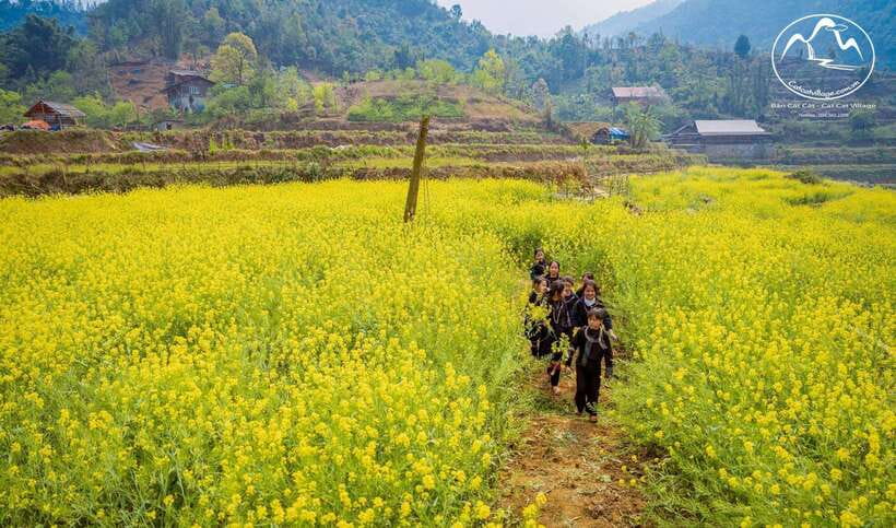 Sapa Cat Cat Village And Y Linh Ho Private Trekking Tour - Who This Trek Suits Best (and Who Should Skip It)
