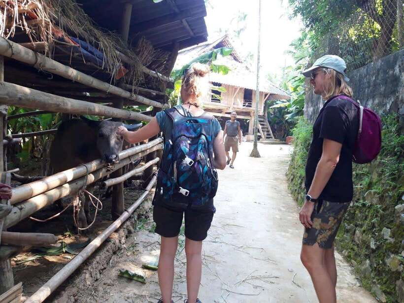 Sapa Cat Cat Village And Y Linh Ho Private Trekking Tour - Weather Reality: Rain and Heat Happen