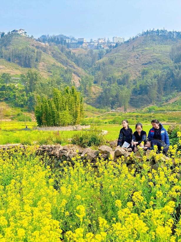 Sapa Cat Cat Village And Y Linh Ho Private Trekking Tour - Should You Book Sapa Cat Cat Village and Y Linh Ho Private Trek?