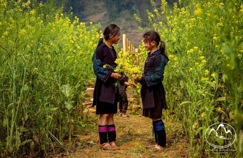 Sapa Cat Cat Village And Y Linh Ho Private Trekking Tour - The Transition to Y Linh Ho: From Village Stories to High Views
