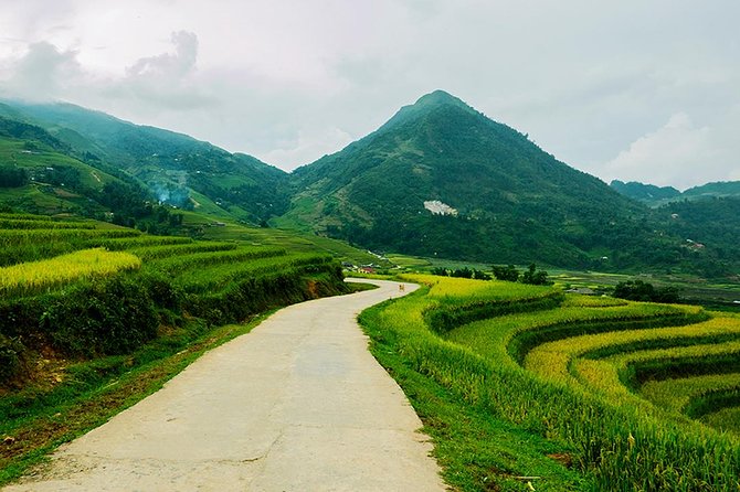 Sapa Easy Trekking Tour 1 Day - Rice Paddies and Cultures - Seeing Black Hmong village life up close (and why animals matter here)