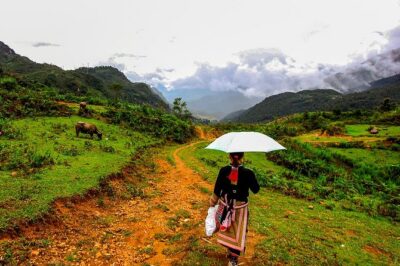 Sapa Easy Trekking Tour 1 Day - Rice Paddies and Cultures - Morning start: pickup near Sapa Church and into the Suoi Thau area