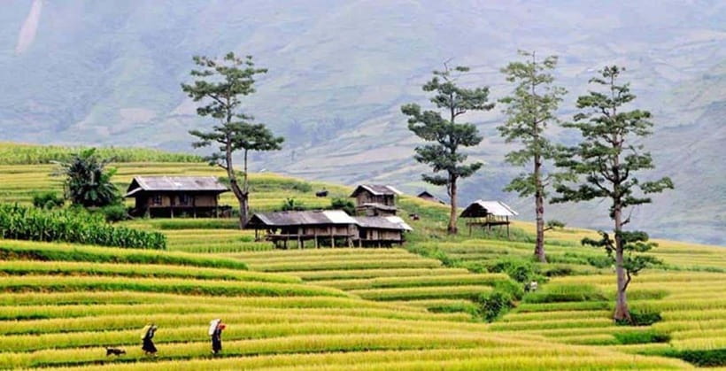 Sapa: Eco Adventure Terrace Fields and Local Villages Trek - Key Highlights You Should Know