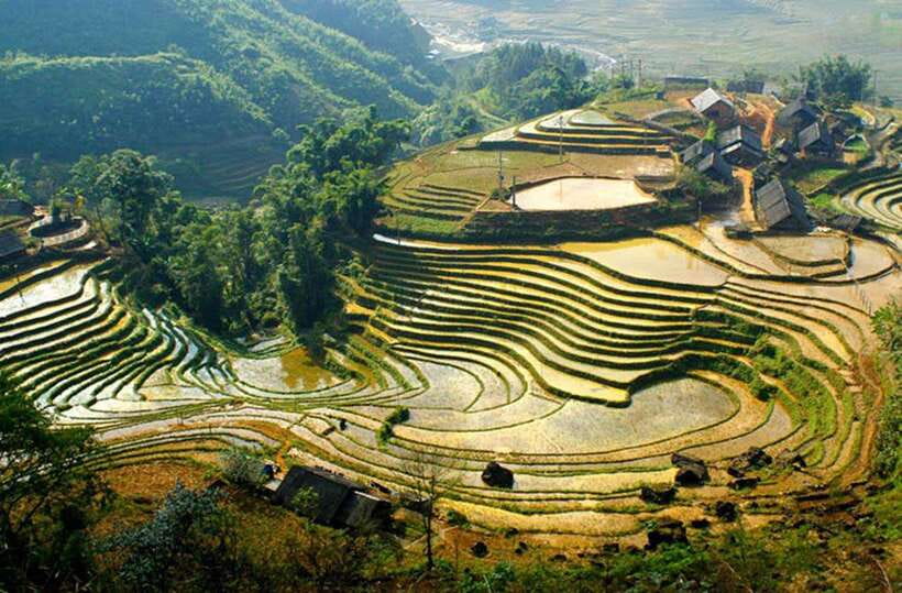Sapa: Eco Adventure Terrace Fields and Local Villages Trek - Y Linh Ho Village and Lao Chai: Hmong Daily Life on a Walking Schedule