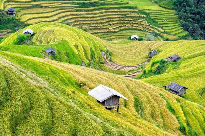 Sapa: Eco Adventure Terrace Fields and Local Villages Trek - Lunch at Lao Chai Sang: Home-Cooked Food and Real Hospitality