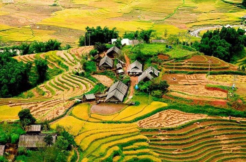 Sapa: Eco Adventure Terrace Fields and Local Villages Trek - Fansipan Peak Viewpoint: Fog-Proof Expectations