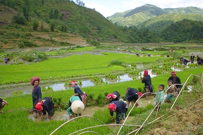 Sapa Hard Trekking villages 2D/1N: Homestay, Meals, English speaking guide - Homestay Reality: What Comfort Looks Like in a Local House