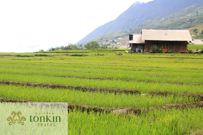 Sapa hard trekking villages homestay 3days/ 2nights tour - amazing culture - Day 1: Ta Van and the Hmong/Giay villages around rice terraces