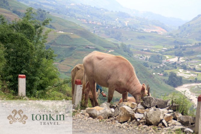 Sapa hard trekking villages homestay 3days/ 2nights tour - amazing culture - Day 3: Red Dao Nam Toong, river walk, Lavie waterfall dips, then back to Sapa