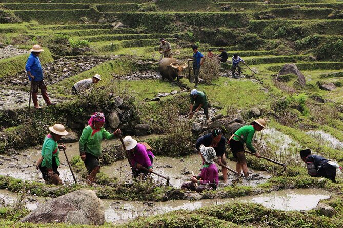 Sapa Hmong Family Trekking Adventures - Day 1 on the Lao Chai Trail: valley walking plus Cat Cat to Y Linh Ho