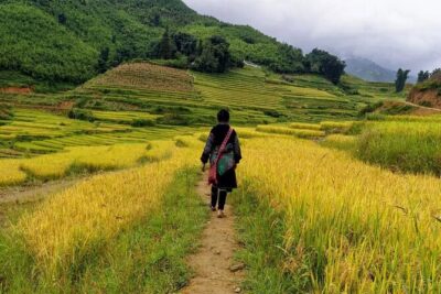 Sapa Local Trekking Adventures - Day 2: Ta Van Village and a homestay night