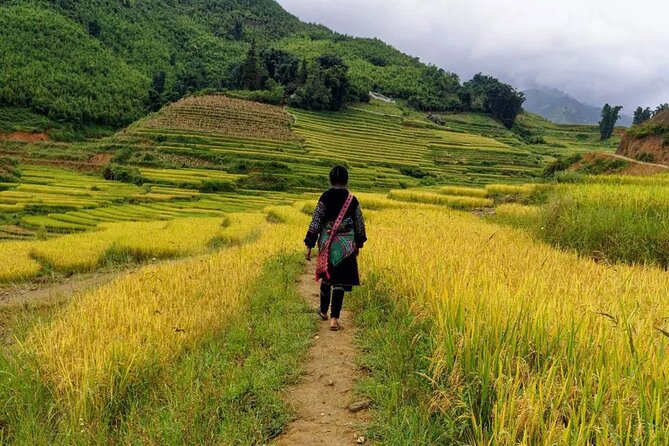 Sapa Local Trekking Adventures - Day 2: Ta Van Village and a homestay night