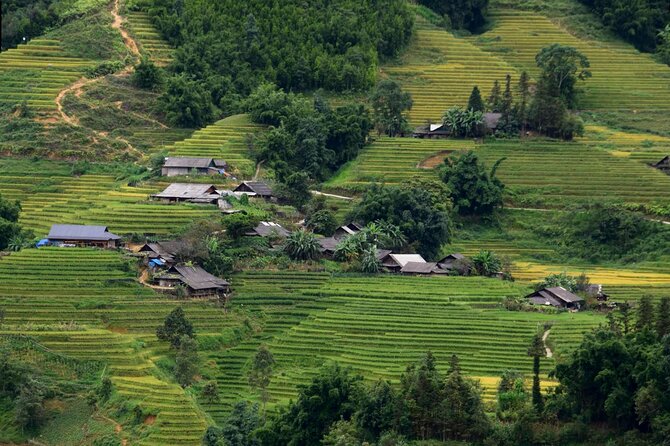 Sapa Muong Hoa Valley & Ta Van Eco Village Scenic Tour (No Trek) - Should you book Sapa Muong Hoa Valley & Tả Van Eco Village Scenic Tour?
