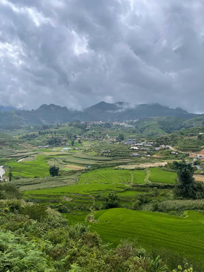 Sapa: Muong Hoa Valley View & Villages Trek with Local Guide - Black Hmong Village Walks: Hang Da, Hau Thao, and Muong Hoa
