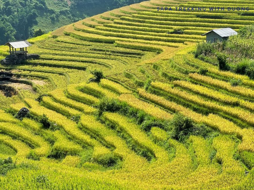Sapa: Private Muong Hoa Valley and Homestay Trekking 2-Day - The Culture Stops That Make the Walking Worth It
