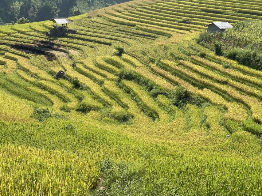 Sapa: Private Muong Hoa Valley and Homestay Trekking 2-Day - Price and Logistics: Why $78 Can Be a Good Deal
