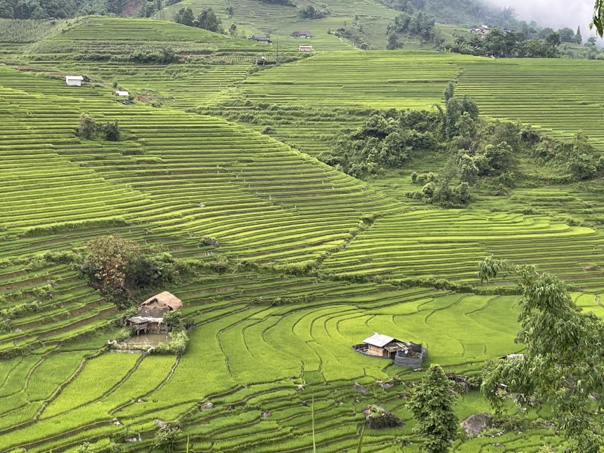 Sapa: Private Muong Hoa Valley and Homestay Trekking 2-Day - Who This Trek Suits Best