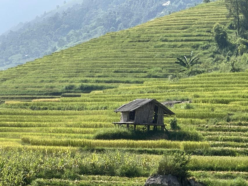 Sapa: Private Muong Hoa Valley and Homestay Trekking 2-Day - Should You Book This Tour?