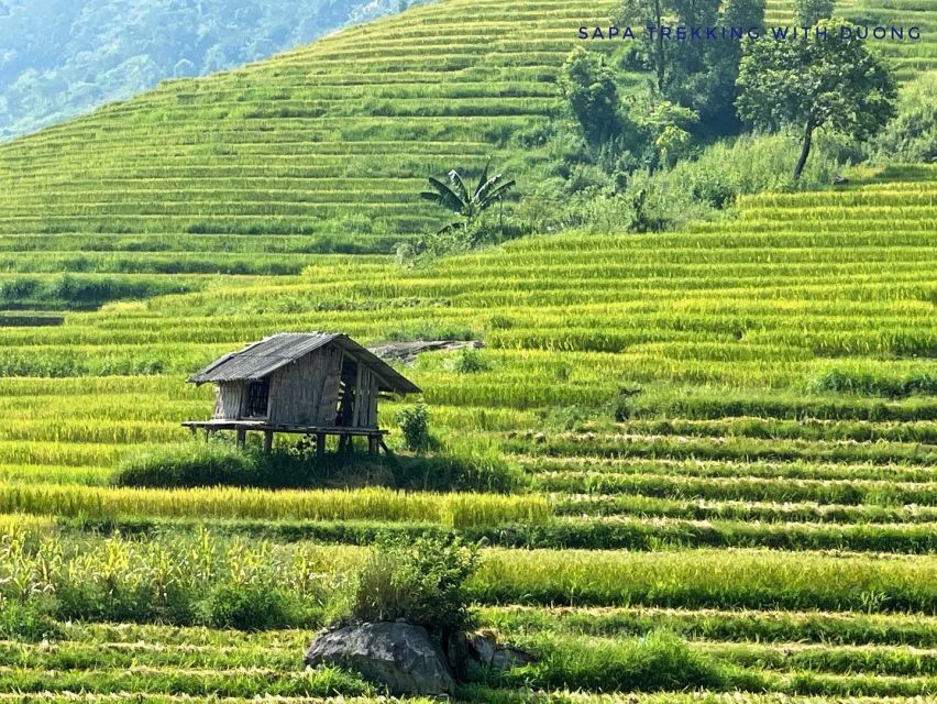 Sapa: Private Muong Hoa Valley and Homestay Trekking 2-Day - Day 1: Y Linh Ho Terraces, Black Hmong Homes, and a Giay Homestay Night