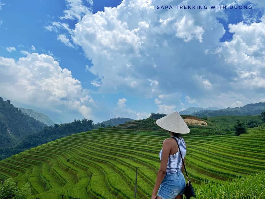 Sapa: Private The Most Beautiful Terraced Fields Trekking - Key points at a glance