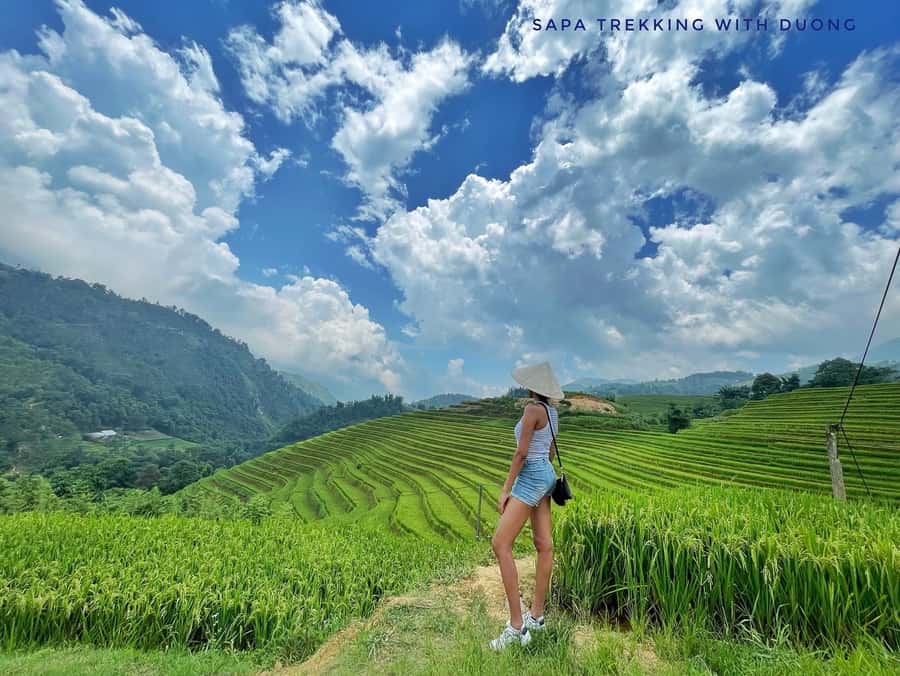 Sapa: Private The Most Beautiful Terraced Fields Trekking - Why the Y Linh Ho–Lao Chai–Ta Van loop feels different