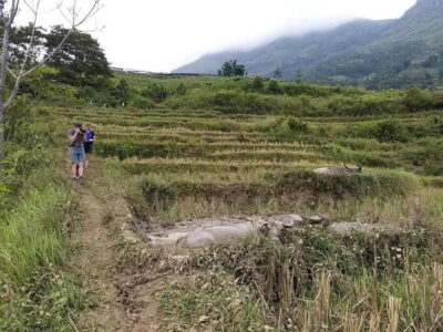 Sapa: Private trek to Muong Hoa Valley - Lao Chai rice terraces: the viewpoint moment that frames the hike