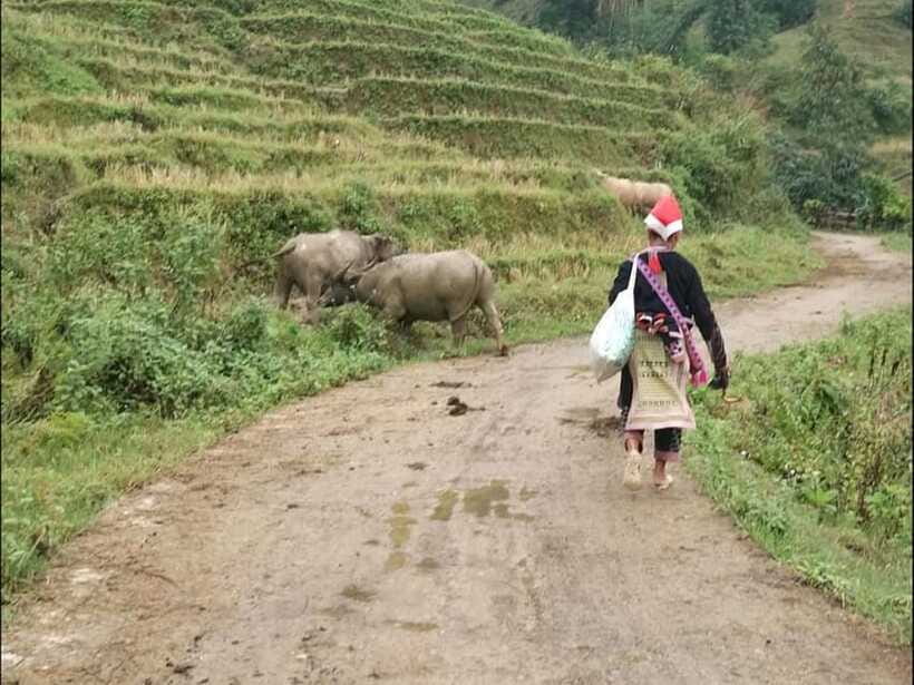 Sapa: Private trek to Muong Hoa Valley - Ta Van and the Dzay community: houses, crafts, and everyday customs
