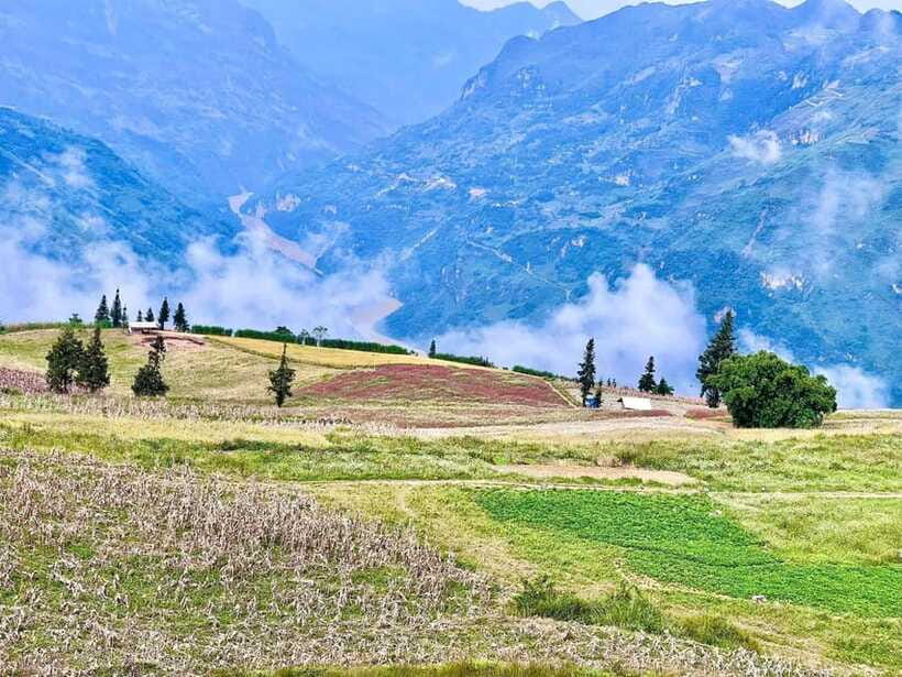 Sapa: Ta Phin Village Trek with Lunch and Bathing Experience - Ta Phin Village: Where Culture Gets More Specific