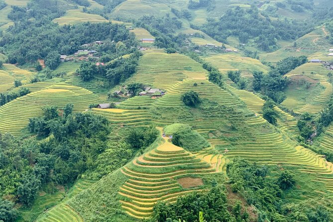 Sapa The Hidden Trail Trek 1 Day - Mountain & Rice Valley - Trekking from Sapa to Muong Hoa Valley: What You’re Really Buying for $35