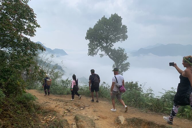 Sapa The Hidden Trail Trek 1 Day - Mountain & Rice Valley - Stop 1: Ham Rong Mountain Start at 9:00am for the First Real View