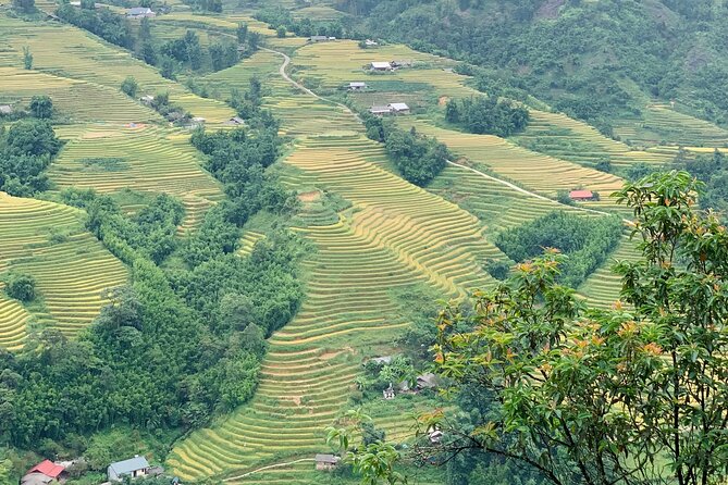 Sapa The Hidden Trail Trek 1 Day - Mountain & Rice Valley - Guide Quality Makes a Difference: Nhu, Zo, Jacob, TJ, Phenh, and Fin