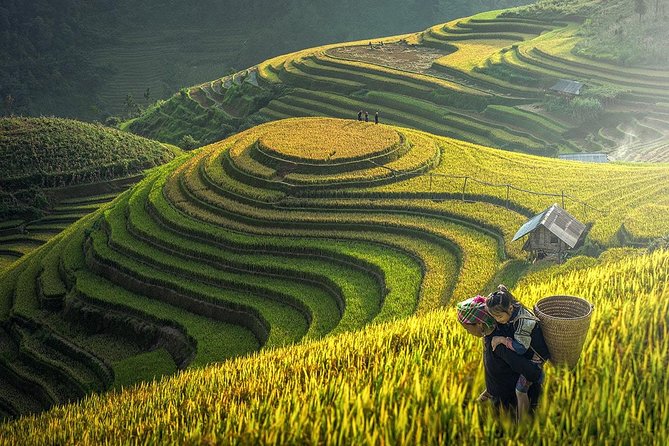 Sapa Trek Tours -2D1N Stay At 3*** -TRANSFER BY SLEEPING BUS - The early morning win: sleeping bus and Old Quarter pickup