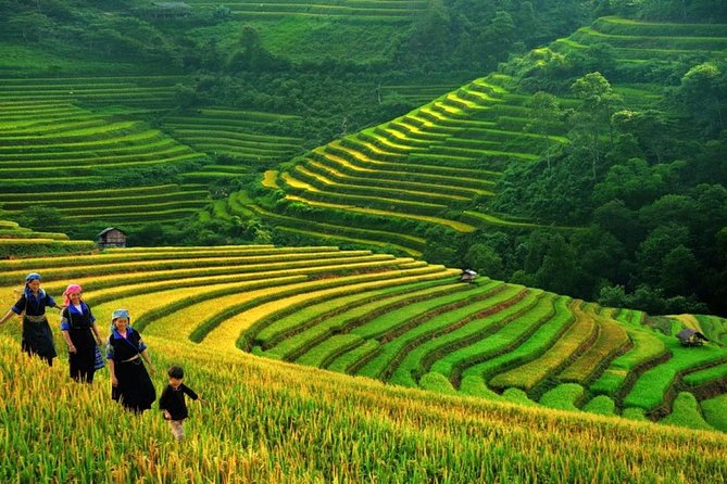 Sapa Trek Tours -2D1N Stay At 3*** -TRANSFER BY SLEEPING BUS - Two days in Hoàng Liên Son: hikes that balance views and village time