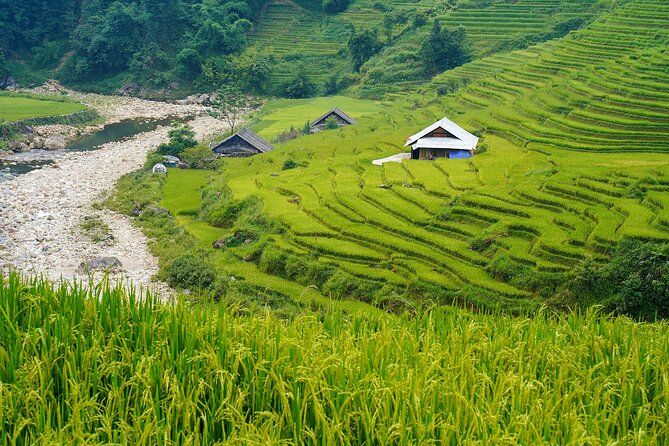 Sapa Trekking 3 Days 2 Nights (Homestay) - Departure From Hanoi - From Hanoi at 6:30 to Sapa by early afternoon