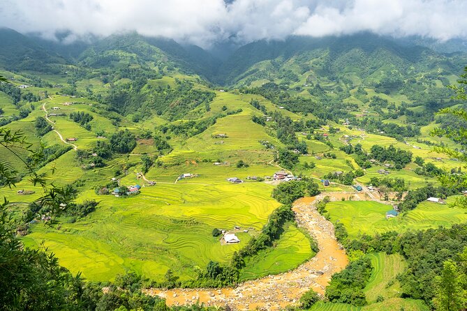 Sapa Trekking 3 Days 2 Nights (Homestay) - Departure From Hanoi - Day 2: Bamboo forest, a waterfall, and Giang Ta Chai (Red Dzao)
