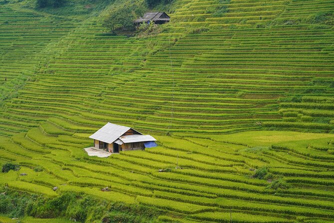 Sapa Trekking 3 Days 2 Nights (Homestay) - Departure From Hanoi - The guide, the group, and why the pace feels workable