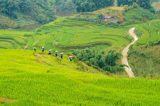 Sapa Trekking 3 Days 2 Nights (Homestay) - Departure From Hanoi - Meals included: 3 lunches, 2 dinners, 2 breakfasts