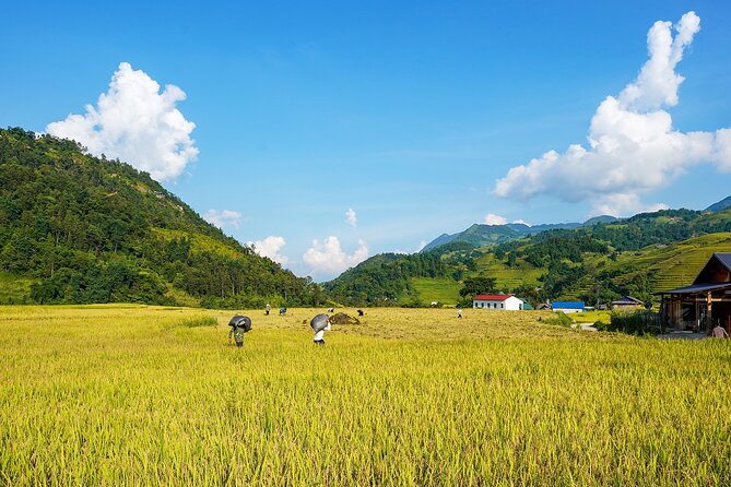 Sapa Trekking 3 Days 2 Nights (Homestay) - Departure From Hanoi - Price and value: what $98.74 covers on a 3-day route