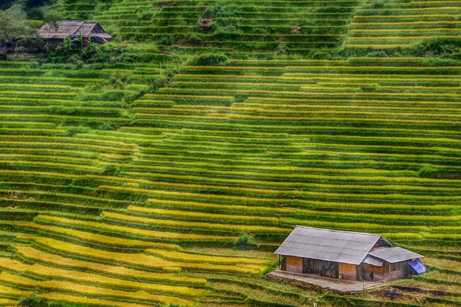 Sapa Trekking Bargains With Local Guide - A Real-Life Sapa Trek You Can Do Without a Big Production