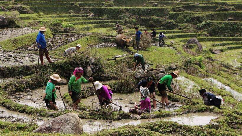 Sapa Trekking Bargains With Local Guide - Lunch at a Hmong Family Spot: Food With a View Beats a Packed Tourist Meal