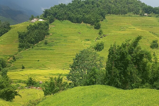 Sapa Trekking / Hiking through Sapa Valley with native Hmong - Starting at Sapa Church at 8:30: Your First Taste of the Valley