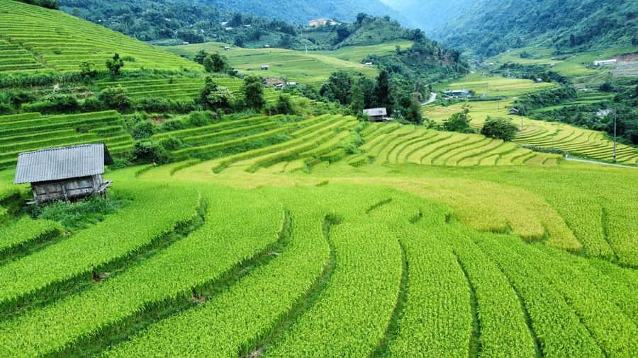 Sapa: Trekking Sapa One Day With Group Tour - Key Things You’ll Remember