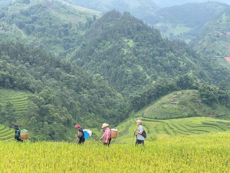 Sapa: Trekking Sapa One Day With Group Tour - Y Linh Ho Village: Black Hmong Homes, Textiles, and Daily Life