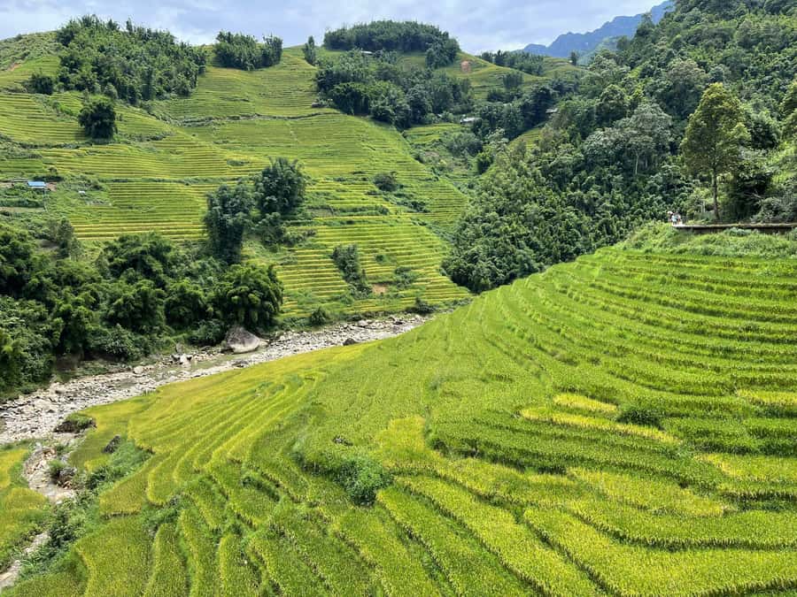 Sapa: Trekking Sapa One Day With Group Tour - Price and Value: Is $26 Worth It in Real Life?