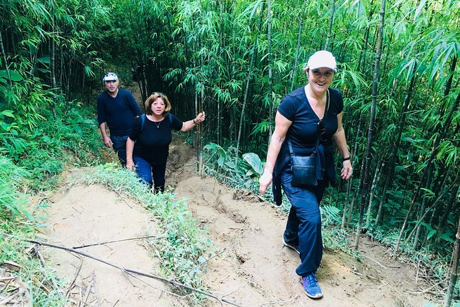 Sapa Trekking Tour - 1 day - Stop 3: Bamboo Forest to Giang Ta Chai Red Dao Village and Waterfall Break