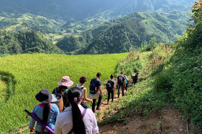 Sapa Trekking Tour 2 Days 1 Night By Bus - Hanoi to Sapa: the sleeper bus part you can actually plan for