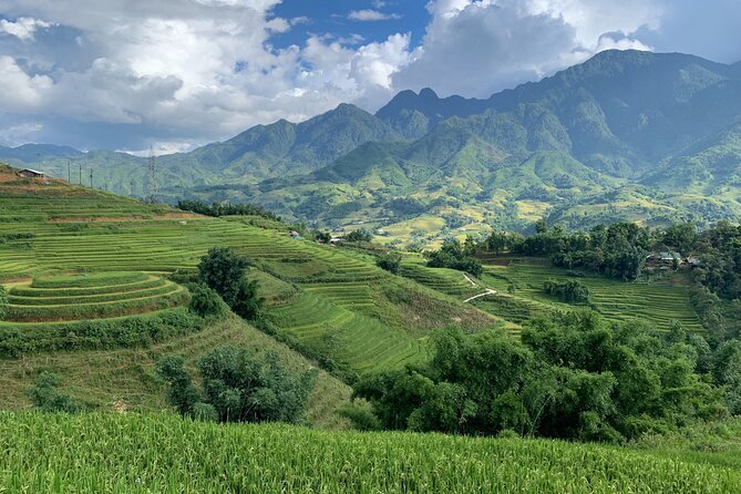Sapa Trekking Tour 2 Days 1 Night By Bus - Day 2: Dzay family morning or a second downhill trek