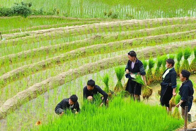Sapa Trekking Tour 2 Days 1 Night By Bus - Food, waterfall time, and what to pack for real trekking days