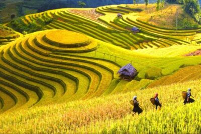 Sapa Trekking Tours - 2 Days 1 Night Stay At Homestay - Cat Cat Village: The First Walk and the Real Feel of the Trek