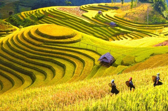 Sapa Trekking Tours - 2 Days 1 Night Stay At Homestay - Day 2 Village Circuit: Y Linh Ho, Lao Chai, and Ta Van